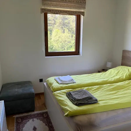 Apartment Pinewood Premium Mountain View