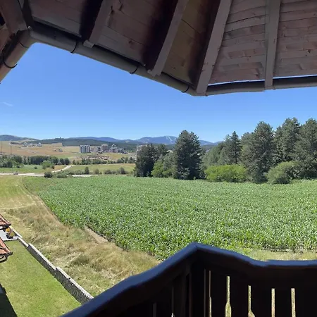 Pinewood Premium Mountain View Appartement Zlatibor