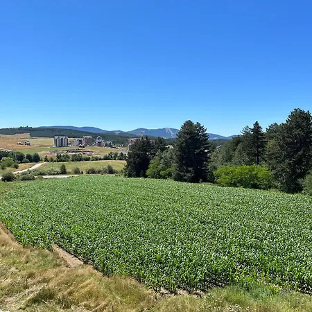 Pinewood Premium Mountain View *