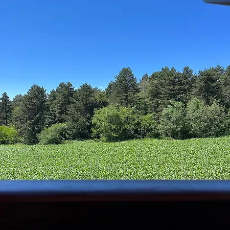 Pinewood Premium Mountain View Appartement