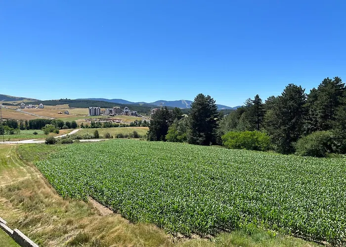 Pinewood Premium Mountain View *