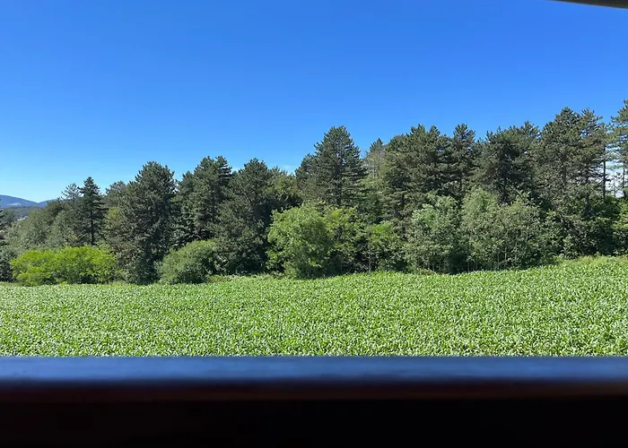 Pinewood Premium Mountain View 아파트